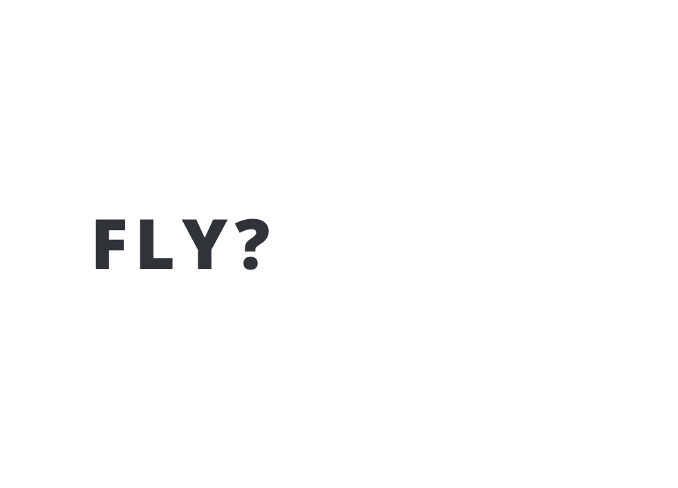 fly?